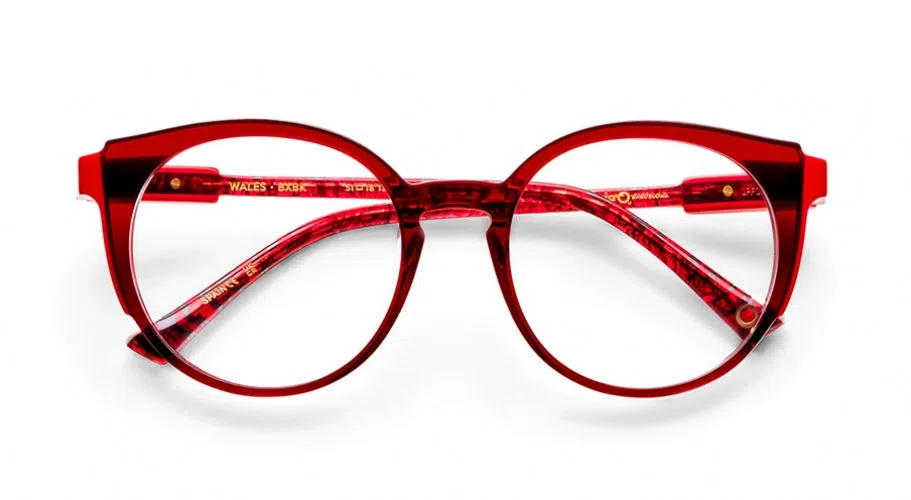Etnia Barcelona WALES Eyeglasses - view 5